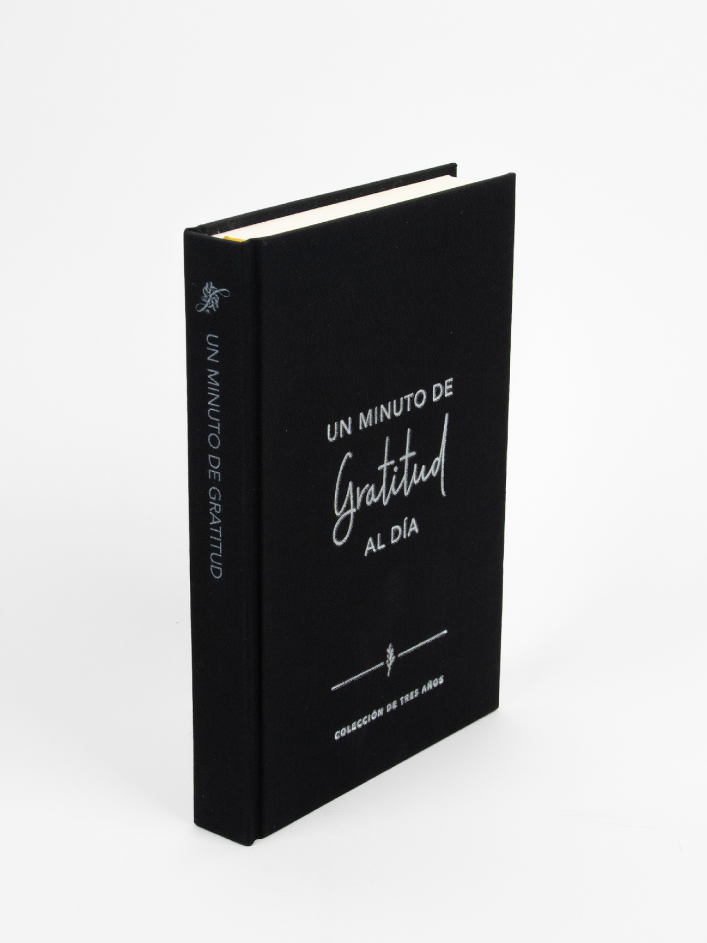 Un minuto de gratitud